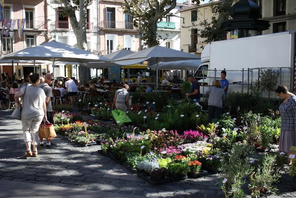Hidden Gem Au Coeur De Sete & Vue Sur Mont St Clair公寓 外观 照片